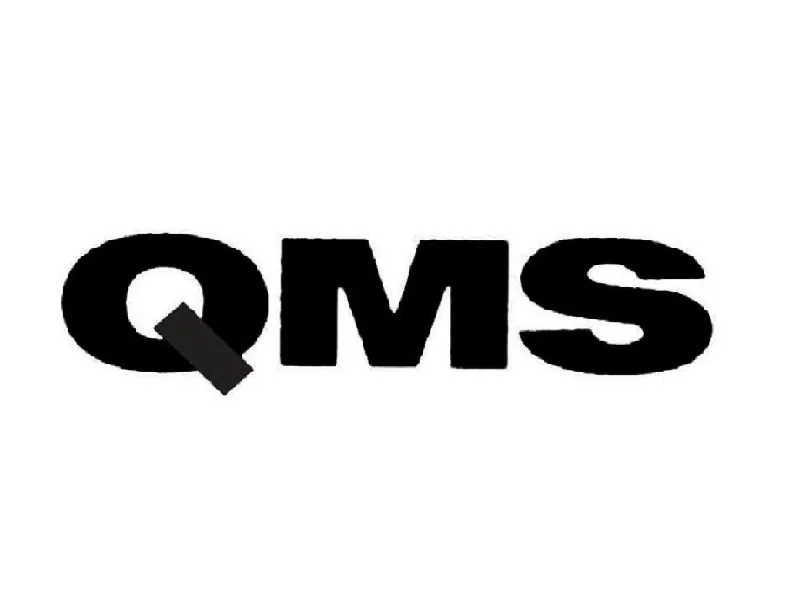 QMS质量验厂